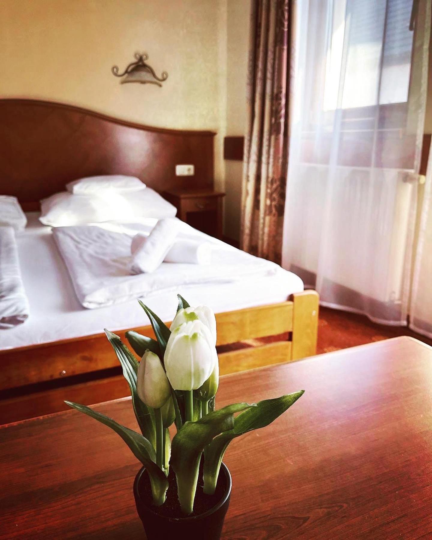 HévízFonix Wellness *** 1 A Epulet住宿加早餐旅馆 外观 照片